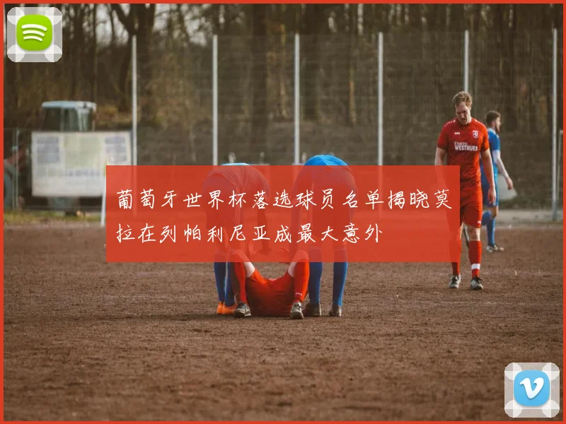 葡萄牙世界杯落选球员名单揭晓莫拉在列帕利尼亚成最大意外